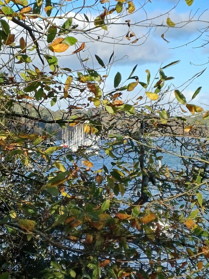 photo de rivière illustrant la consultation de naturopathe pour un bilan de vitalité