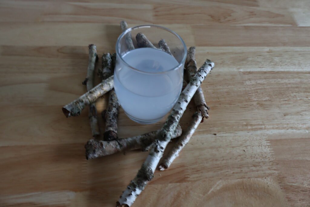 image de sève de bouleau pour un article détox du blog maryse-naturo