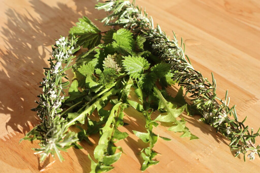 image illustrant un article de blog du site maryse-naturo.fr sur la vitalité
