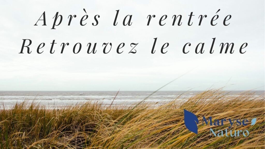 Après la rentrée Retrouvez le calme image illustrant un article du blog marys-naturo.fr sur le cortisol