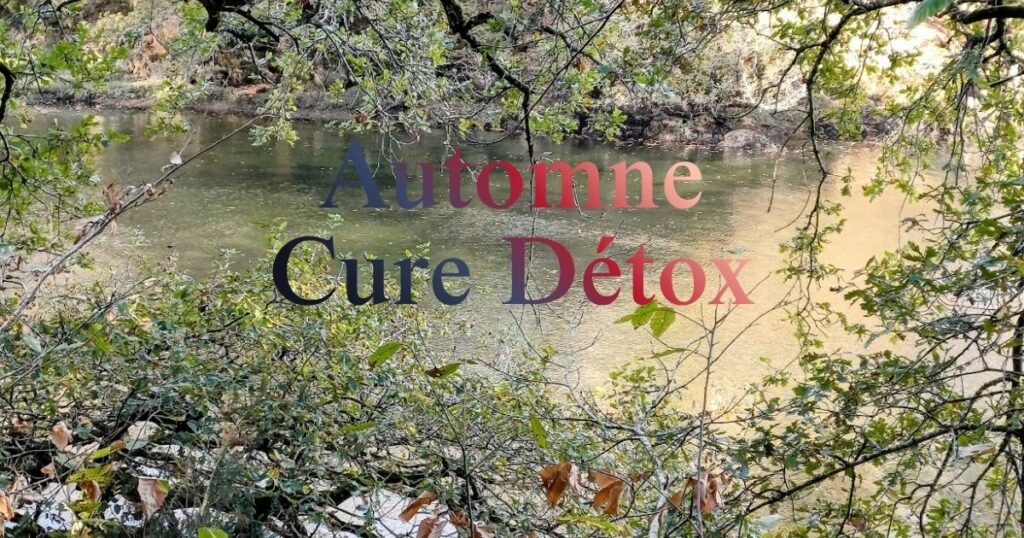 détox automne blog image illustrant un article du blog maryse-naturo.fr sur la détox